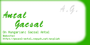 antal gacsal business card